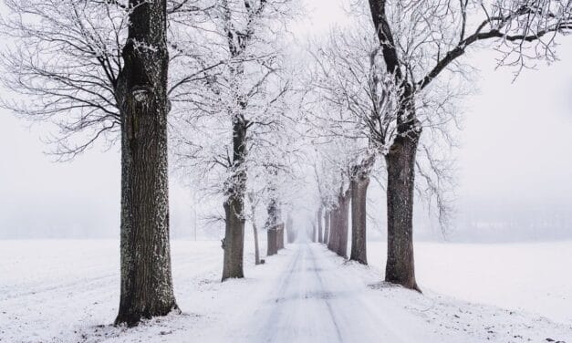 Which City in Wisconsin Has the Best Weather?