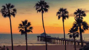 beach california florida palm trees sunset