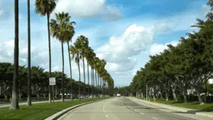 california weather sun palm trees