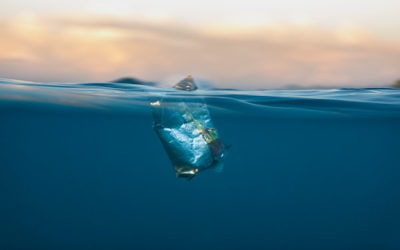 Why is Galveston Beach So Dirty?