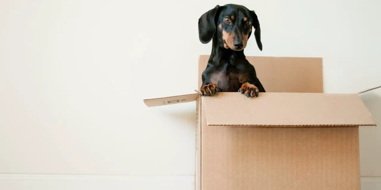 How Do I Prepare My House For A Packer? (Do Not Skip This!)