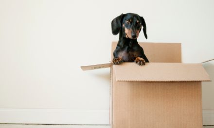 How Do I Prepare My House For A Packer? (Do Not Skip This!)