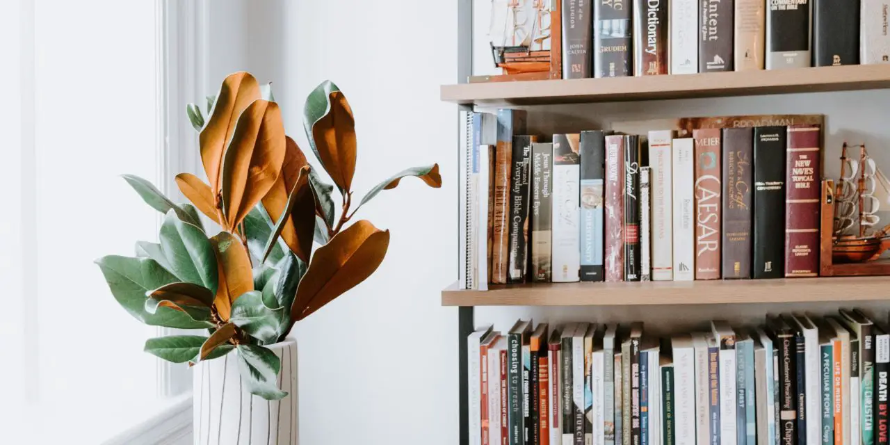 What Can You Put On a Bookshelf Besides a Book? 9 Great Ideas