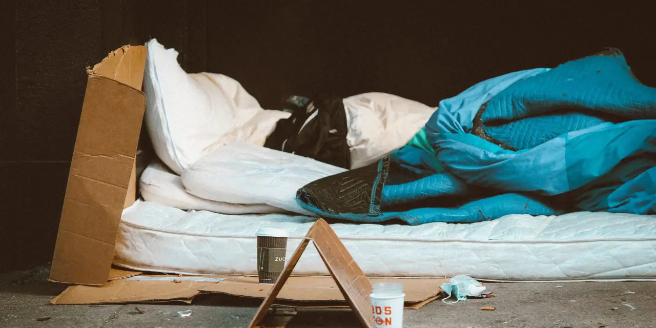 How Much Of Texas Is Homeless?