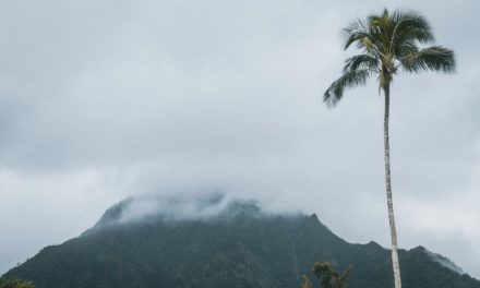 When Does It Rain the Least in Hawaii?