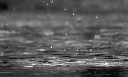 What Season Does It Rain the Least?