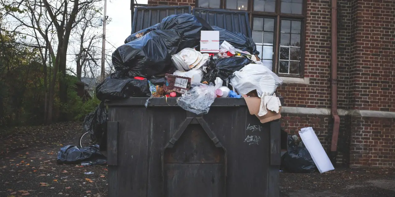 Is Dumpster Diving Legal in Texas? Everything You Need to Know