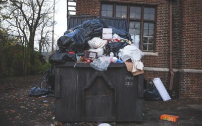 Is Dumpster Diving Legal in Texas? Everything You Need to Know